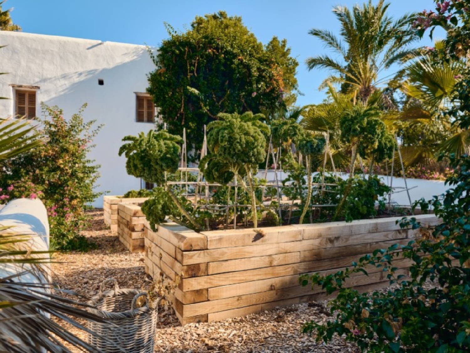  till salu hus på landet Puig De'n Valls Santa Eulària Des Riu 3