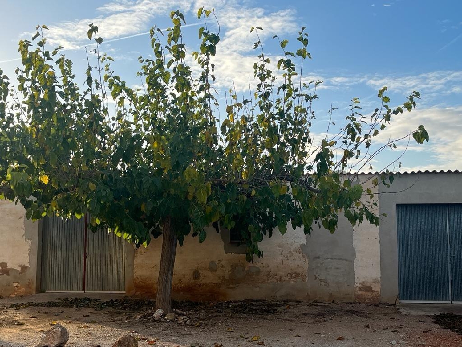 till salu hus på landet Puigdelfí Tarragonès 3