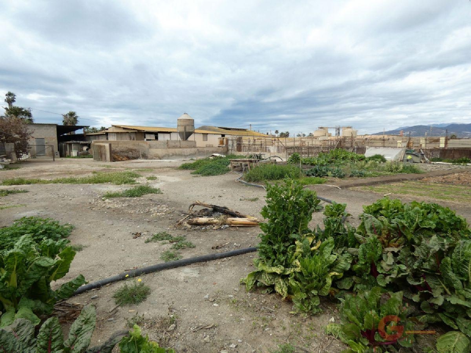  te koop boerderij Los Tablones Costa Tropical 1