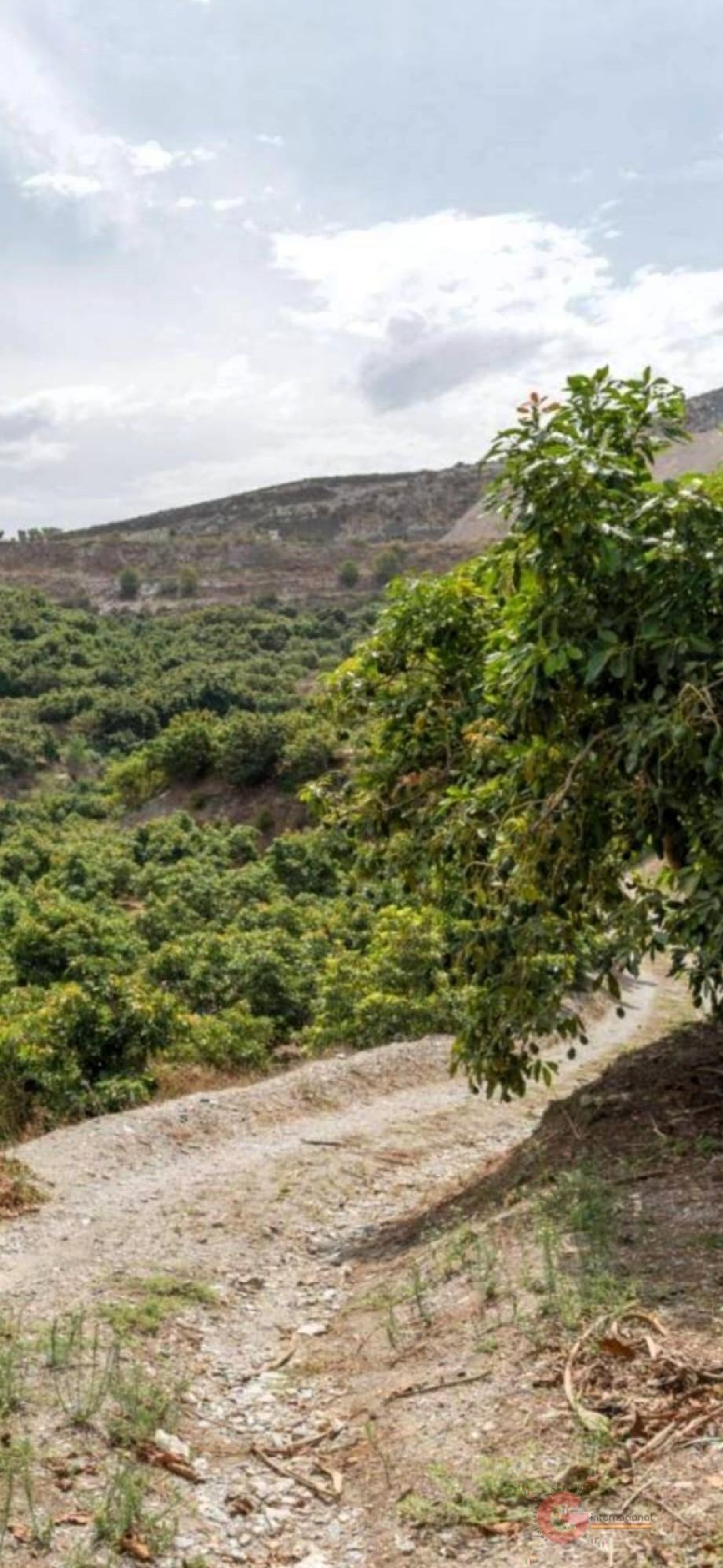  till salu hus på landet Puntalón Costa Tropical 1