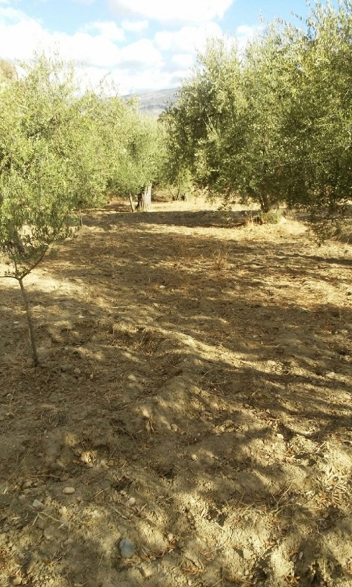 Quintanaloma Páramos hus på landet foto 6248309
