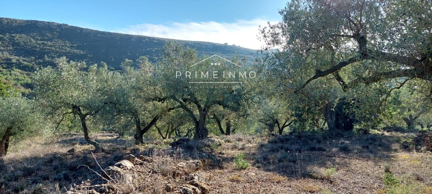  till salu hus på landet Rasquera Ribera D'ebre 15