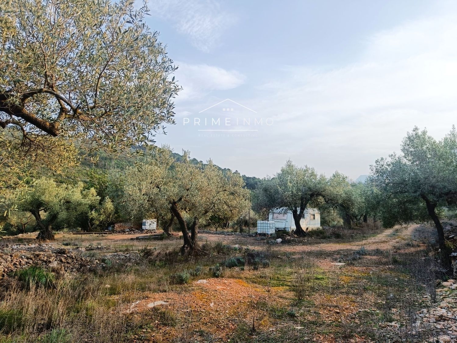 till salu hus på landet Rasquera Ribera D'ebre 2