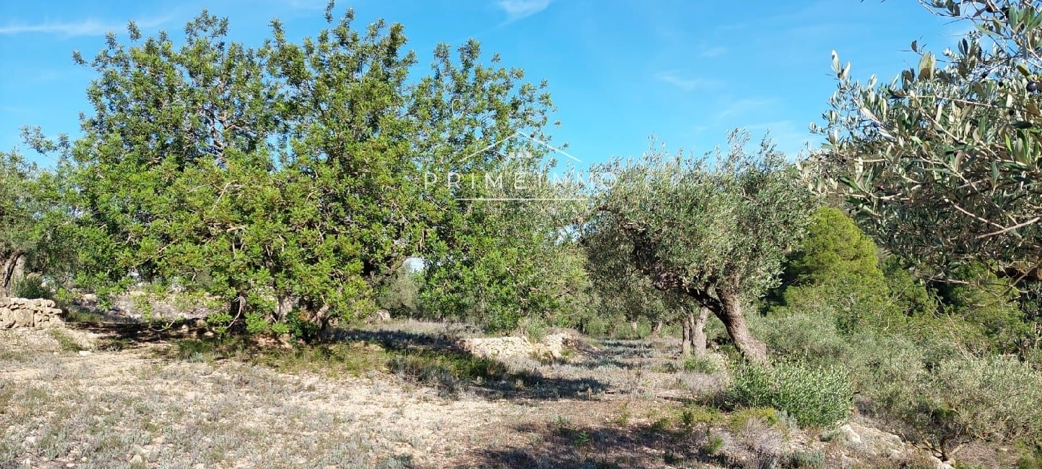  till salu hus på landet Rasquera Ribera D'ebre 19