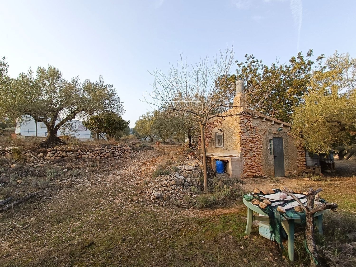  till salu hus på landet Rasquera Ribera D'ebre 5
