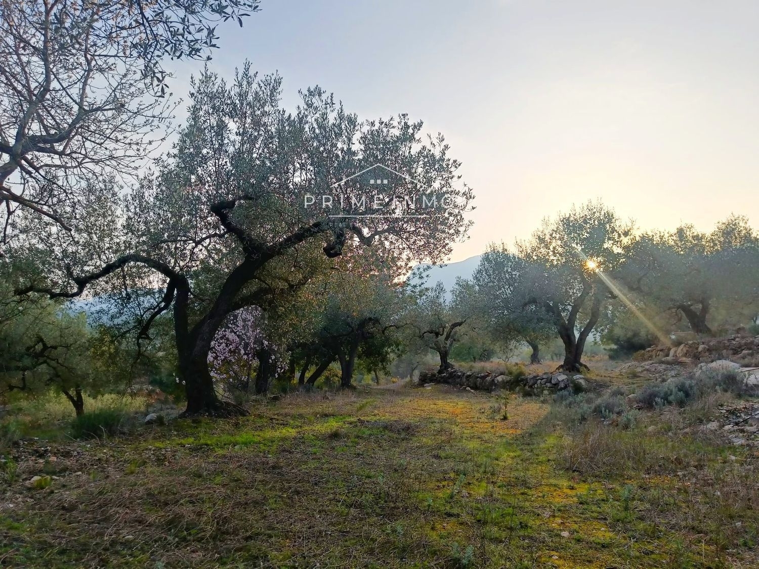  till salu hus på landet Rasquera Ribera D'ebre 8