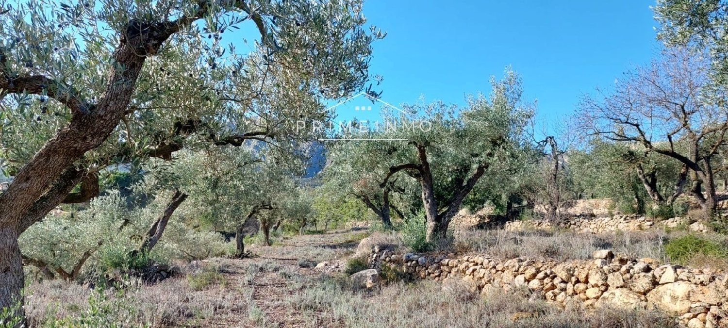  till salu hus på landet Rasquera Ribera D'ebre 14
