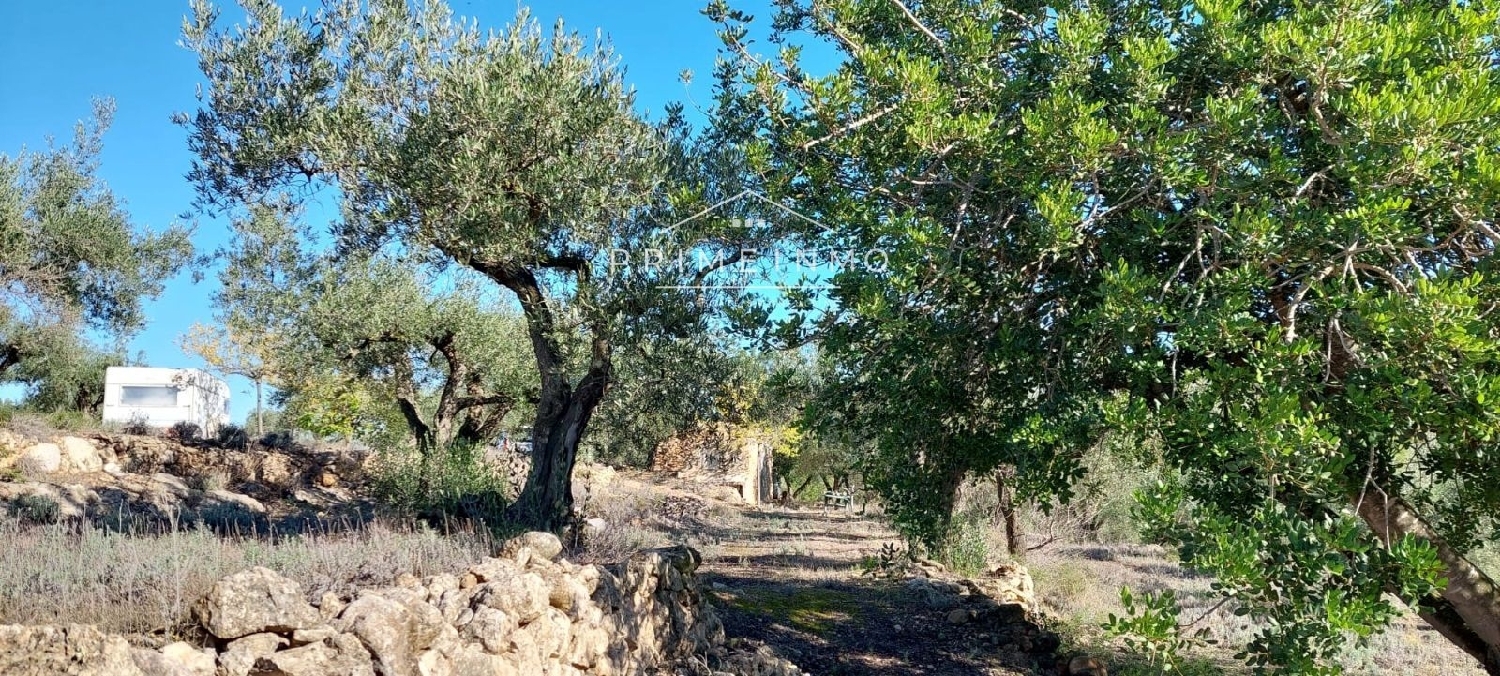 till salu hus på landet Rasquera Ribera D'ebre 17