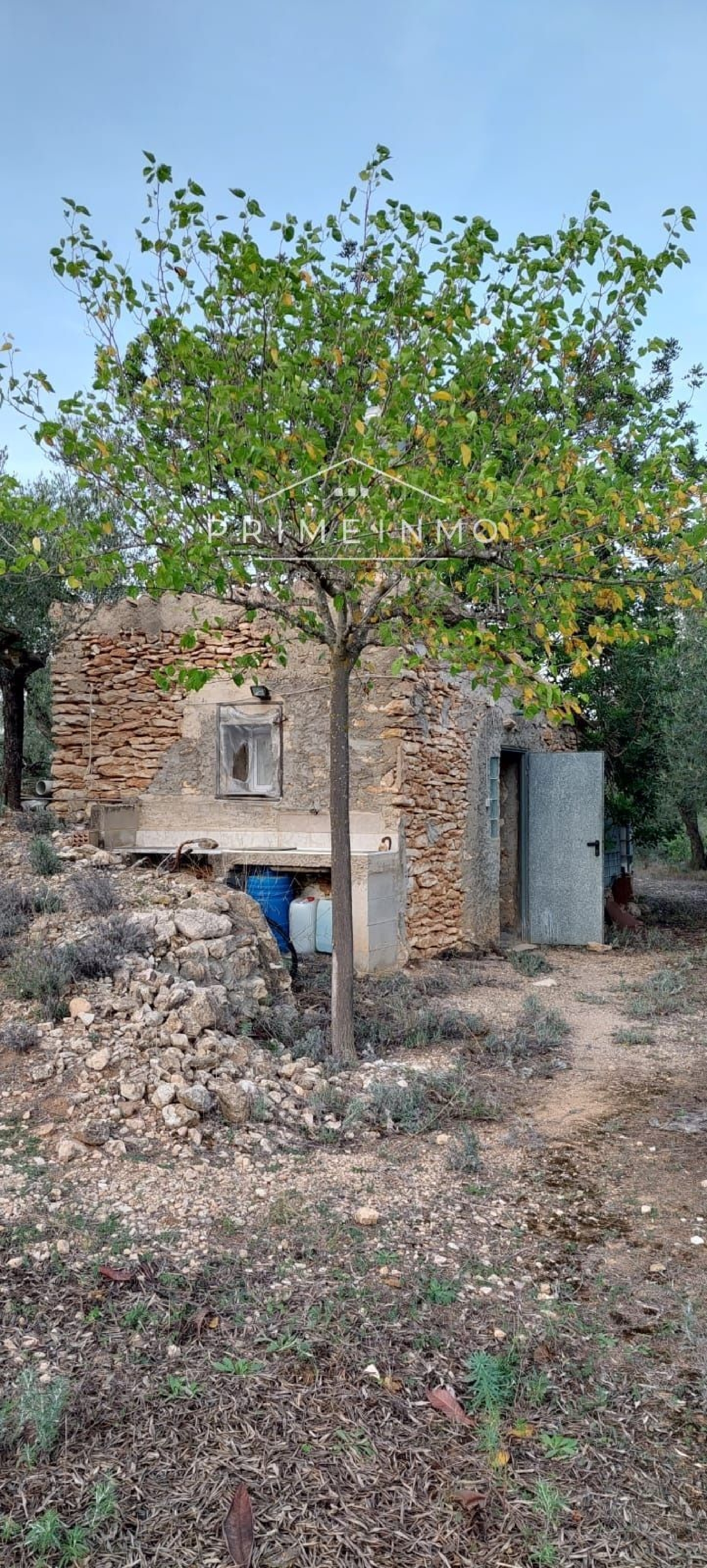  till salu hus på landet Rasquera Ribera D'ebre 22