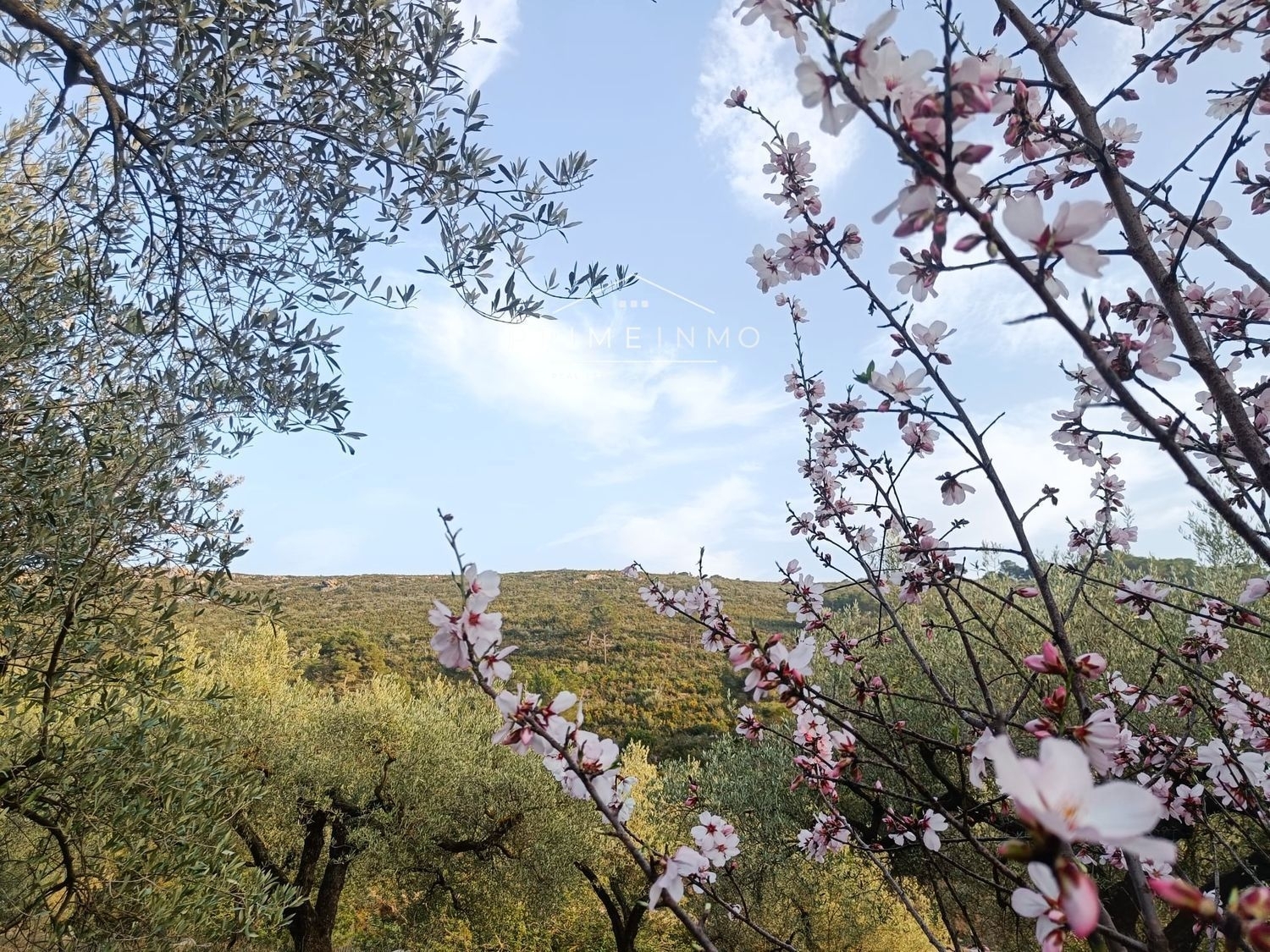  till salu hus på landet Rasquera Ribera D'ebre 9