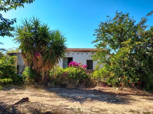 Rincón De Los Pablos Baix Vinalopó hus på landet foto 6217008