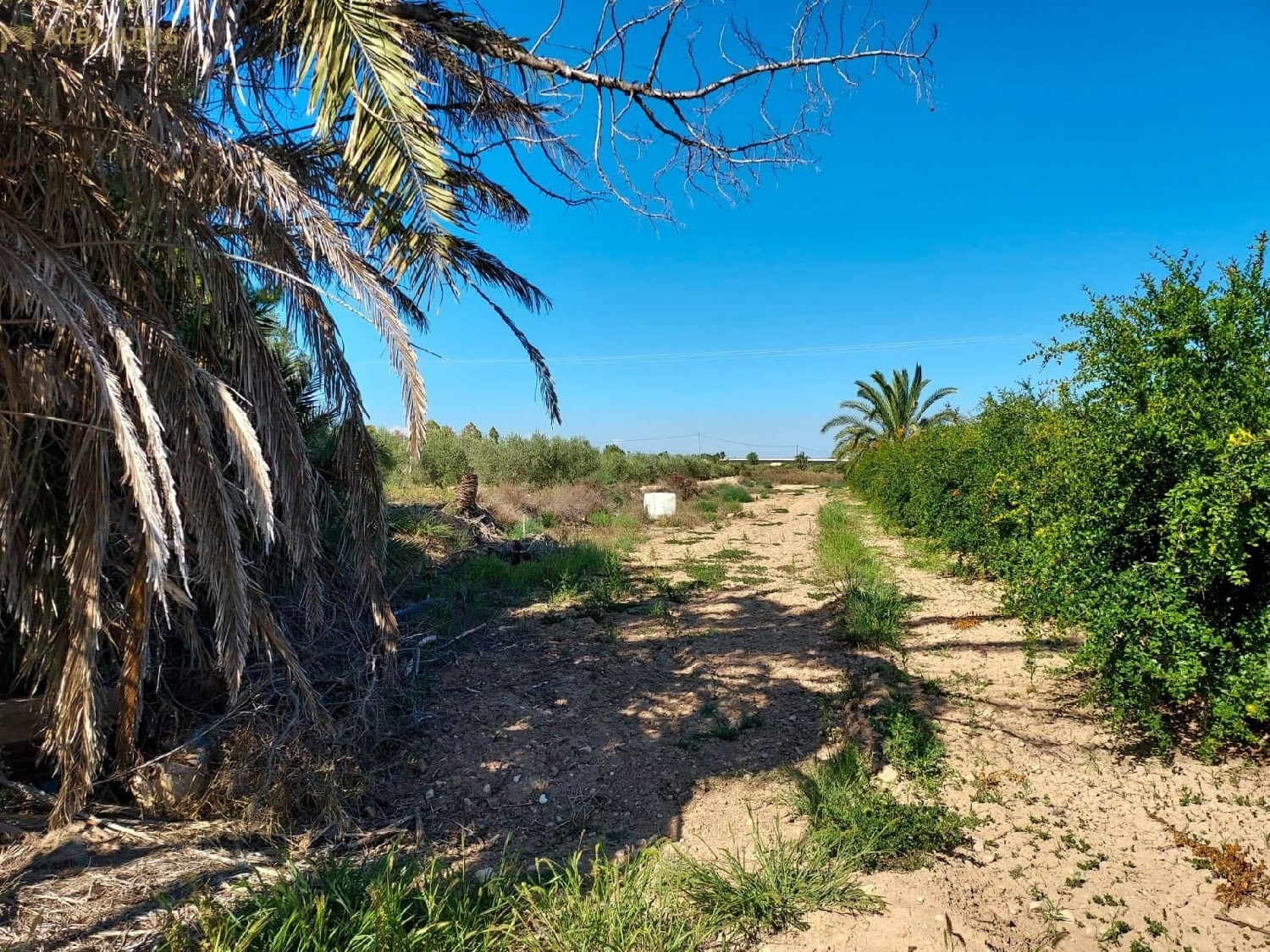  till salu hus på landet Crevillent Baix Vinalopó 7