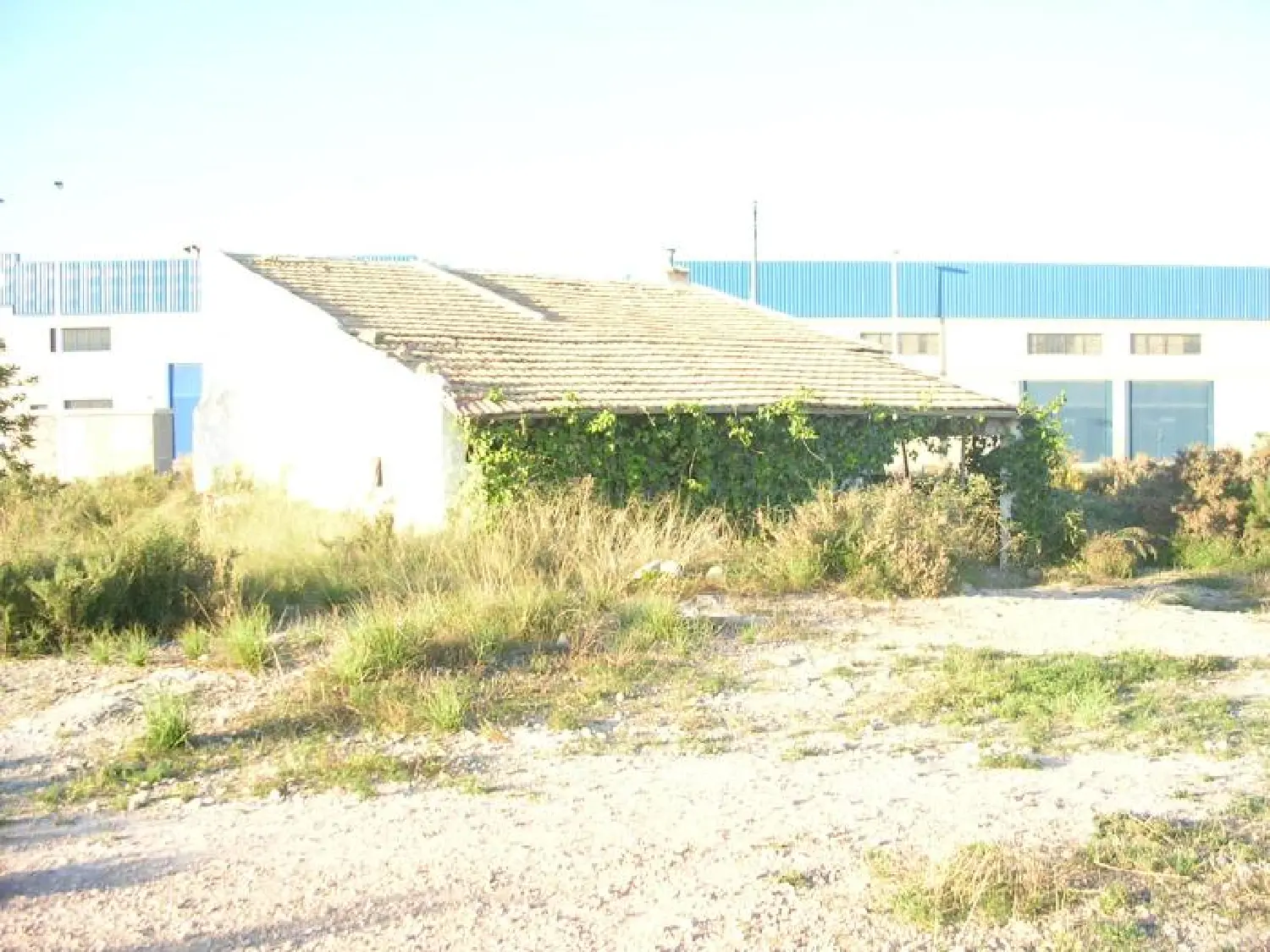 till salu hus på landet Crevillent Baix Vinalopó 2