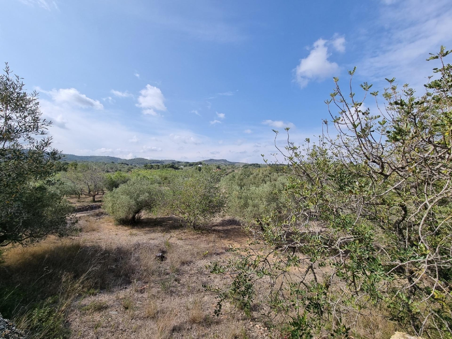  till salu hus på landet Roque Baix Ebre 8