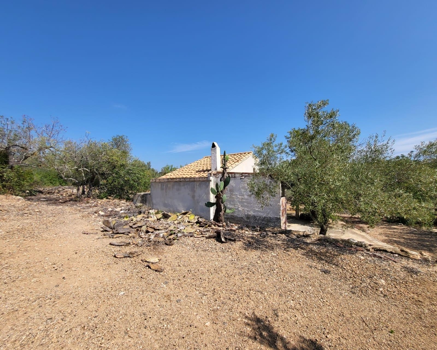  till salu hus på landet Roque Baix Ebre 1