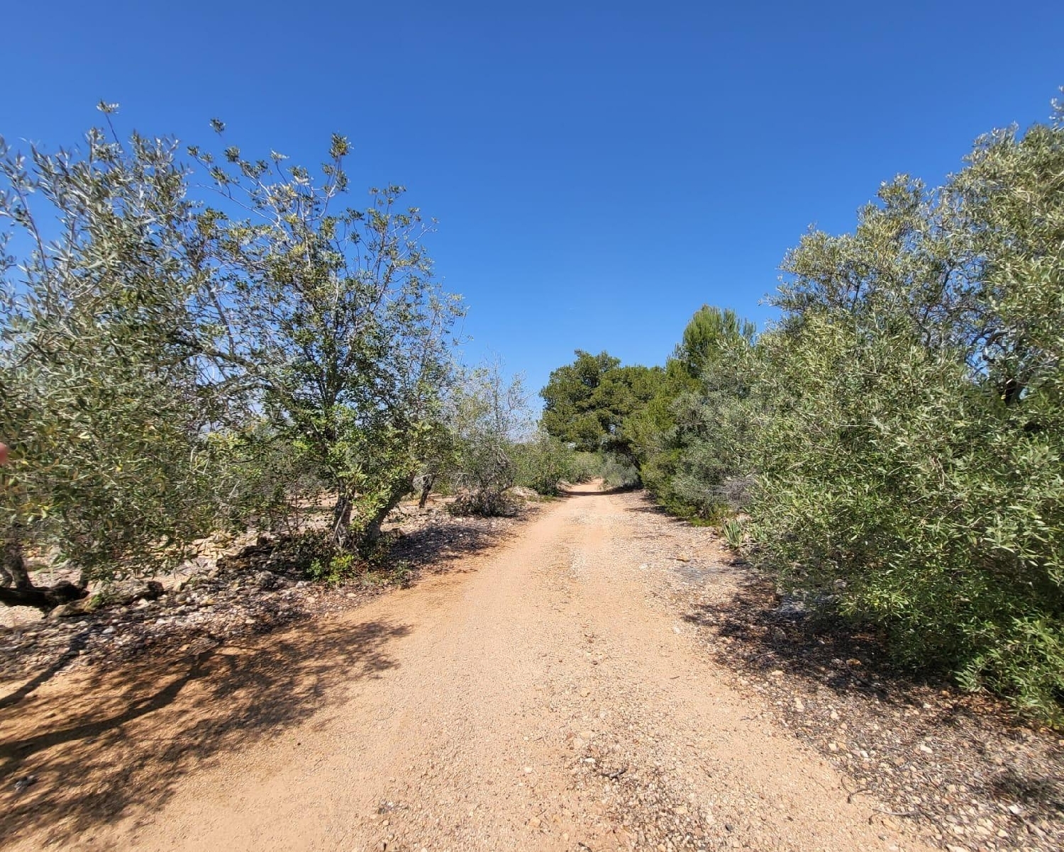 till salu hus på landet Roque Baix Ebre 2