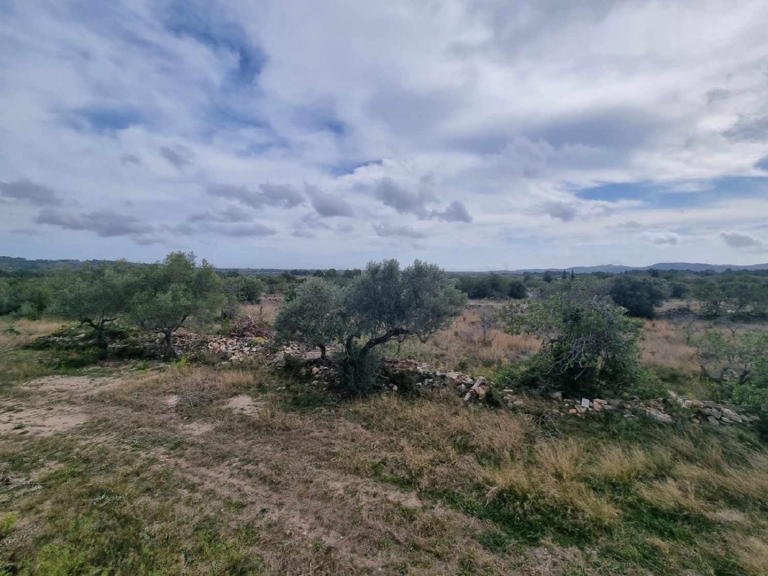 till salu hus på landet Roques Daurades Baix Ebre 3