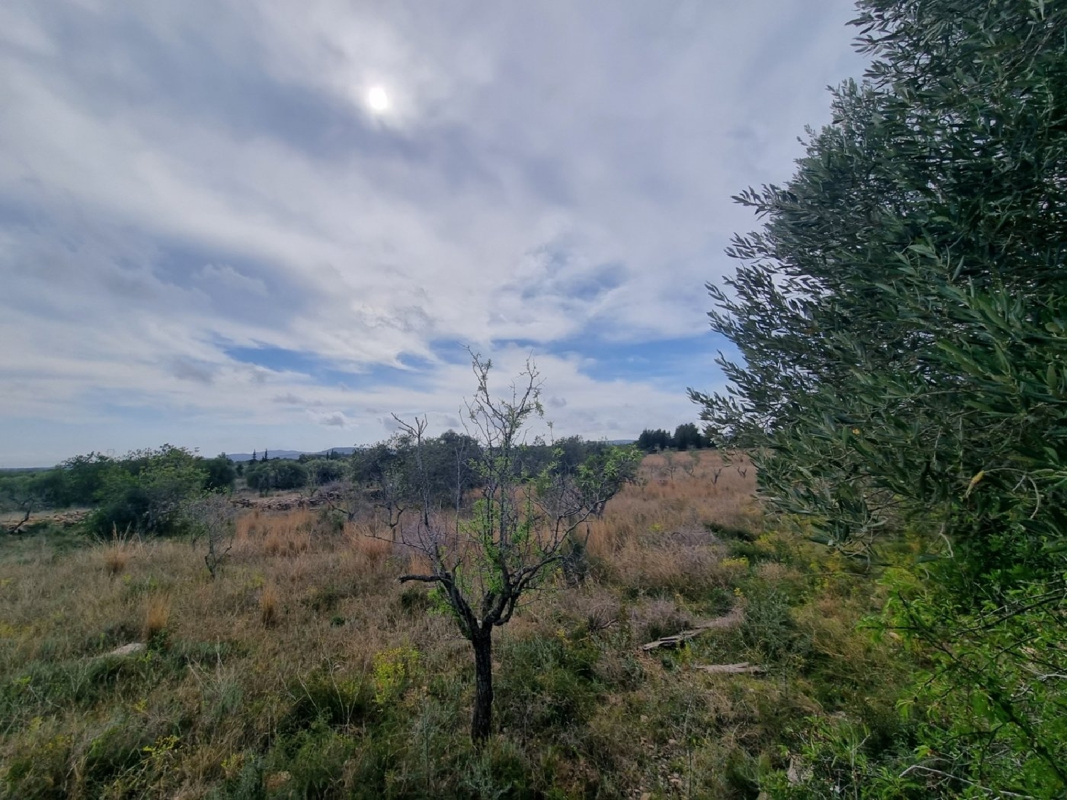  till salu hus på landet Roques Daurades Baix Ebre 4
