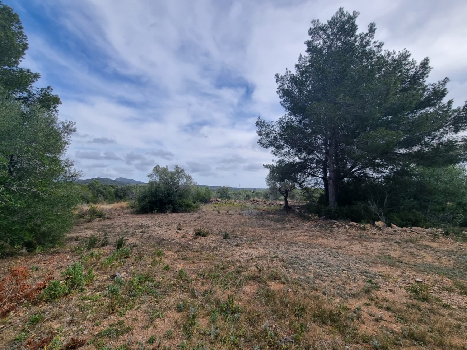  till salu hus på landet Roques Daurades Baix Ebre 5