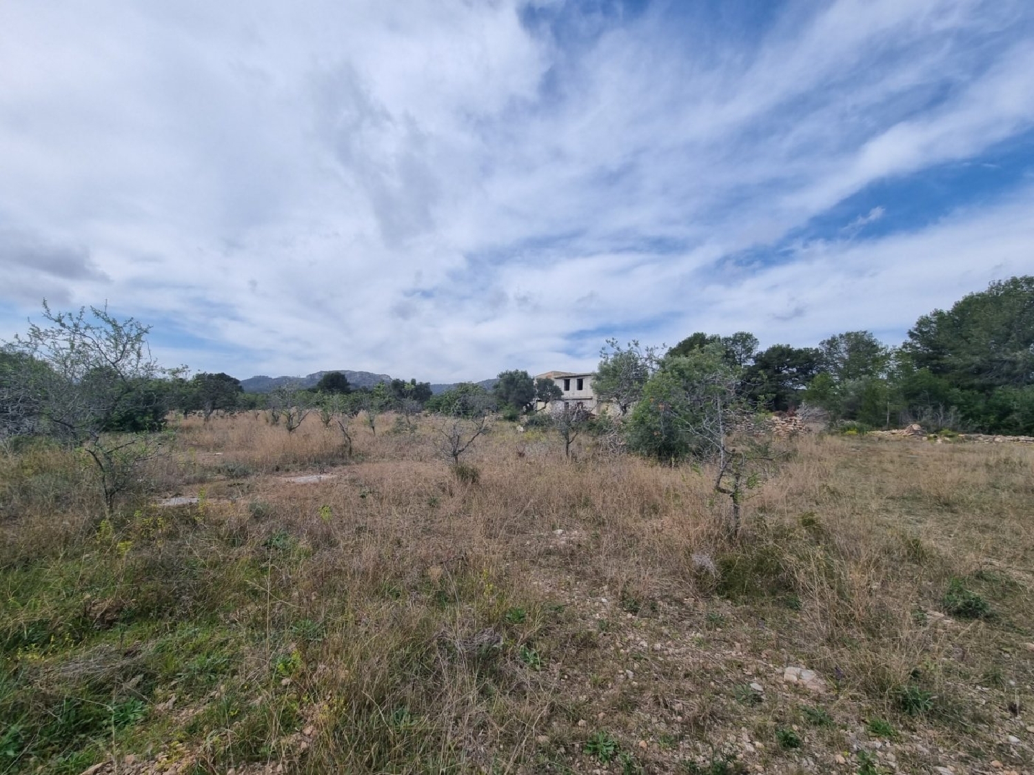  till salu hus på landet Roques Daurades Baix Ebre 1