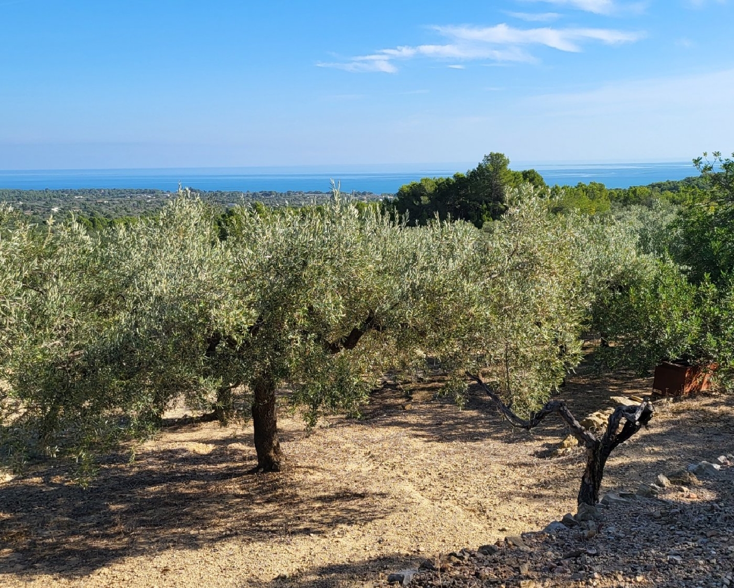  till salu hus på landet Roques Daurades Baix Ebre 1