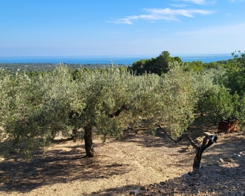 Roques Daurades Baix Ebre hus på landet foto 6243503