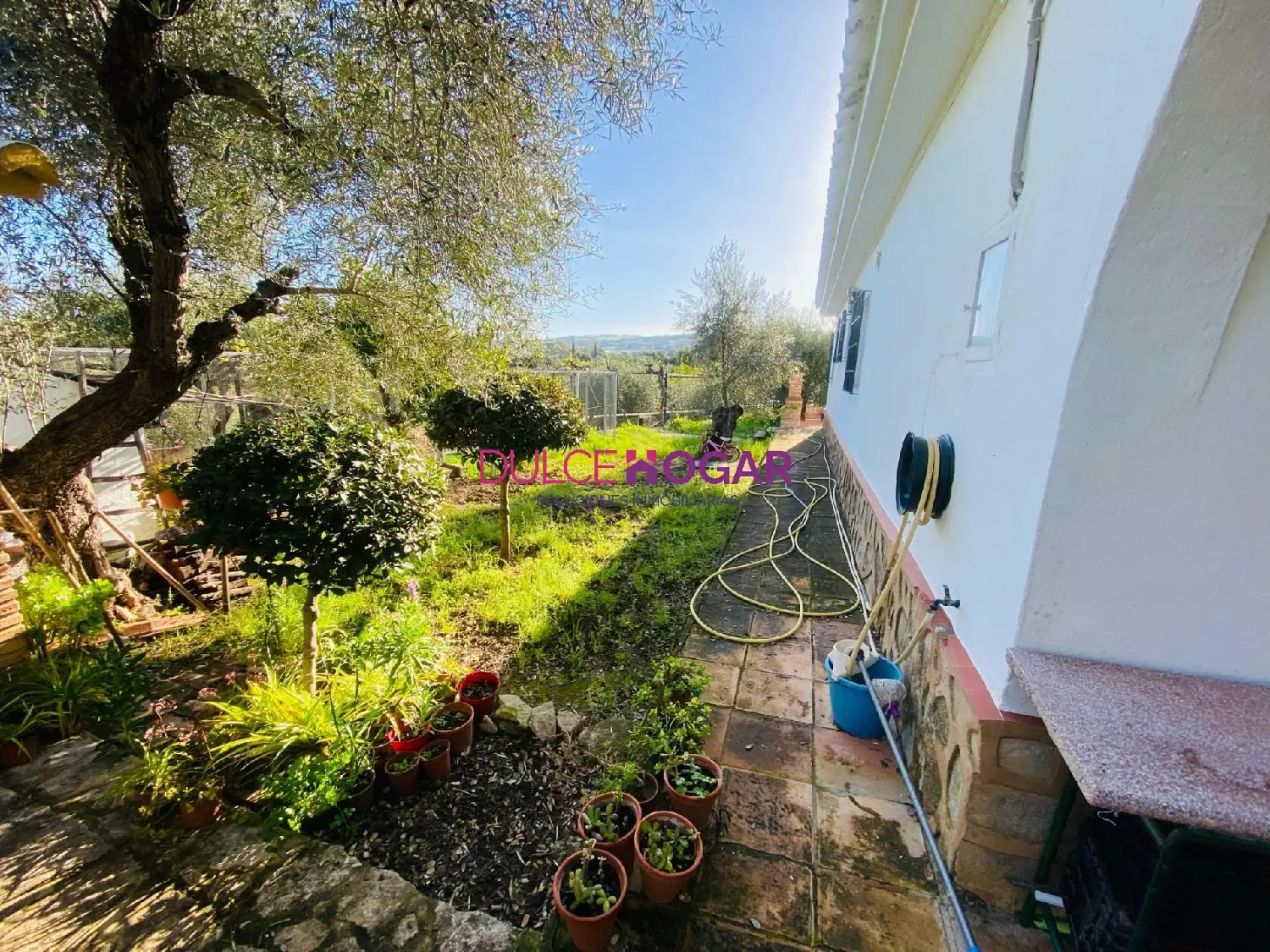 till salu hus på landet Los Prados Serranía De Ronda 2