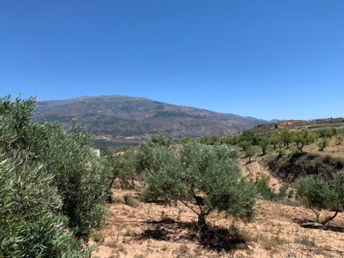 Saleres Valle De Lecrín hus på landet foto 6250471