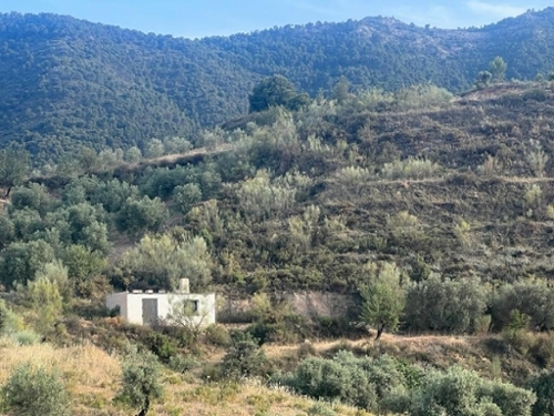 Saleres Valle De Lecrín hus på landet foto 6250478