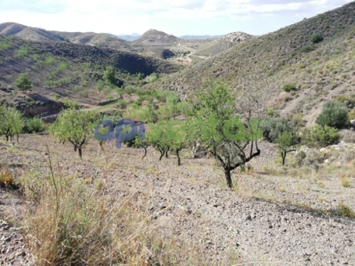 San Antonio Alto Guadalentín hus på landet foto 6234399