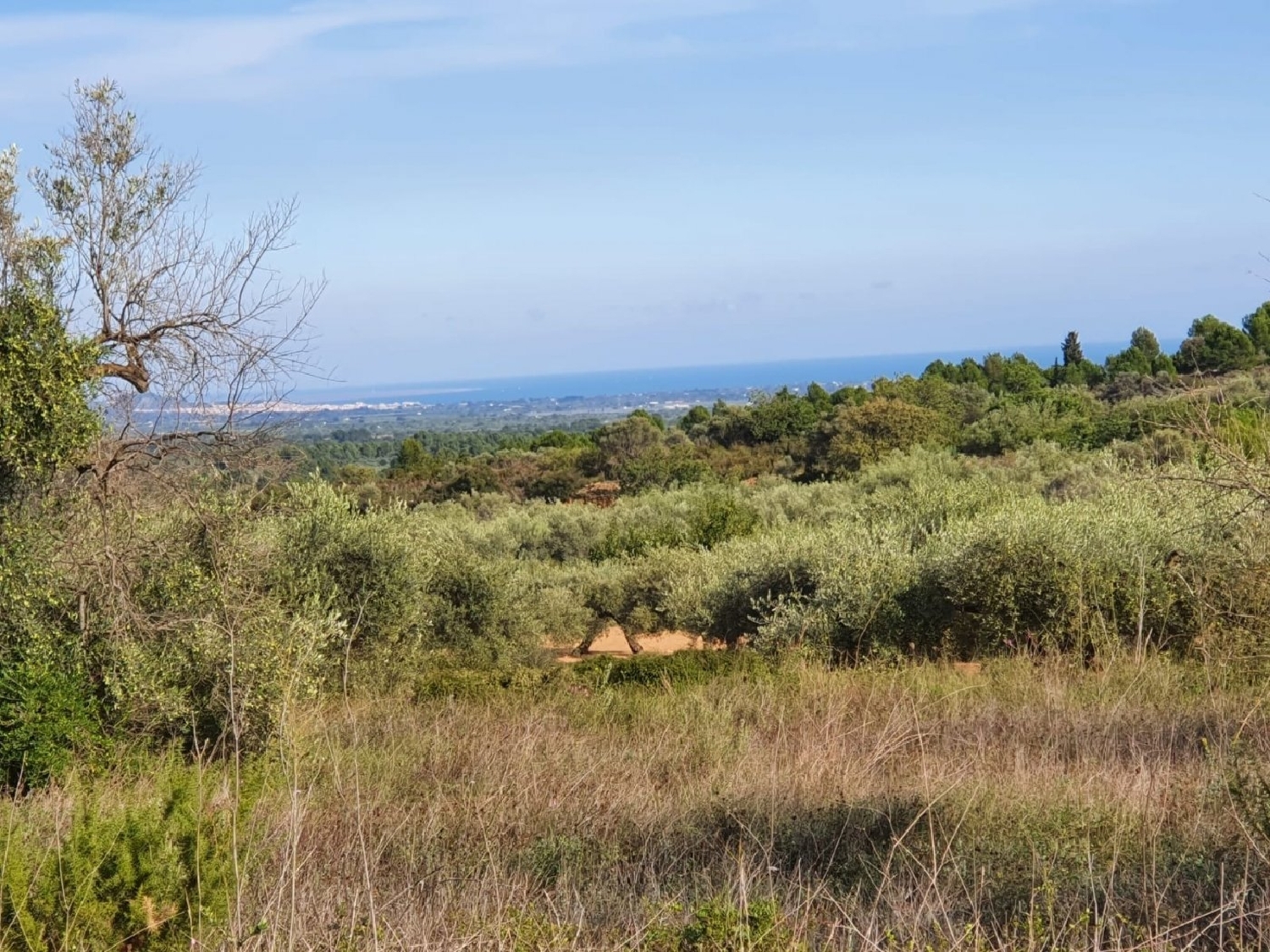 te koop boerderij Panorámica Baix Maestrat 2