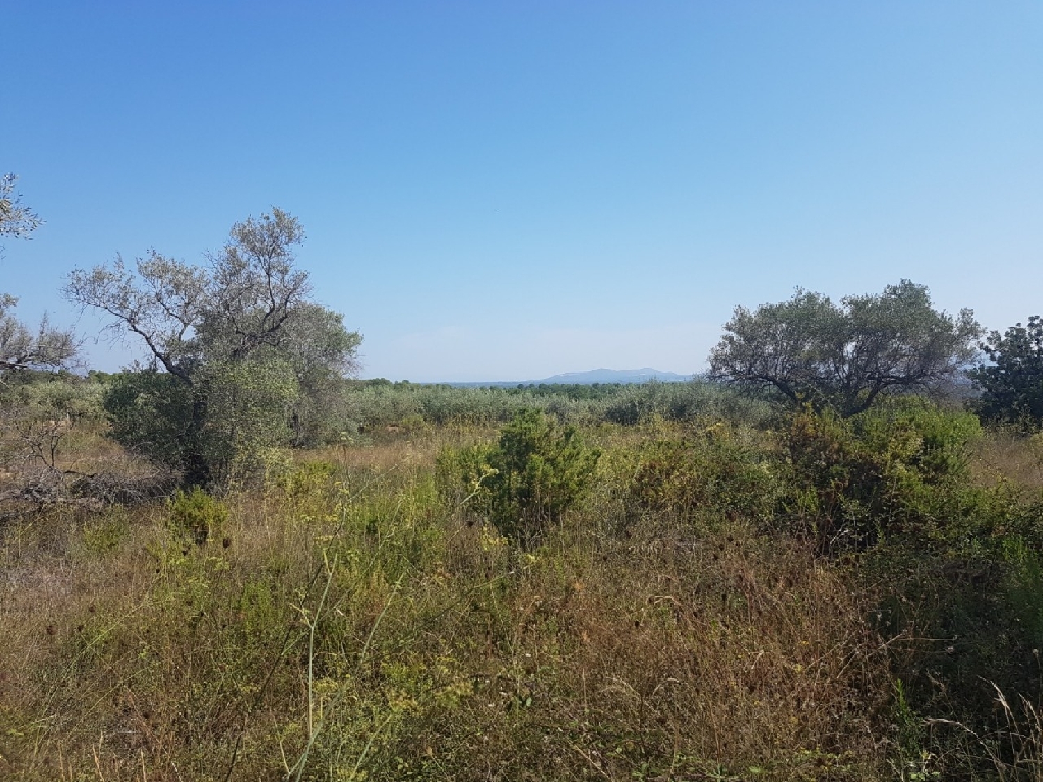  te koop boerderij Panorámica Baix Maestrat 8