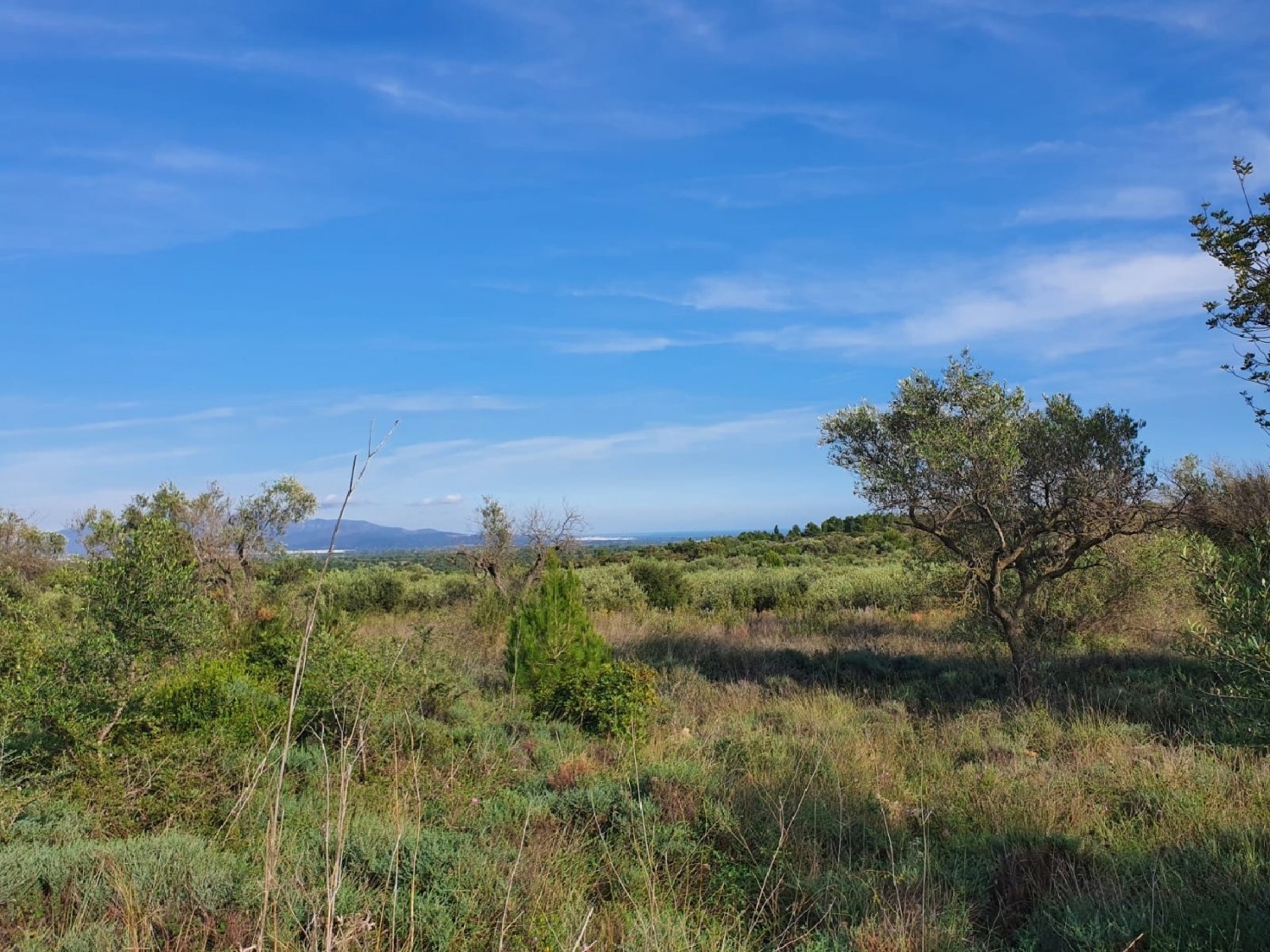  te koop boerderij Panorámica Baix Maestrat 1