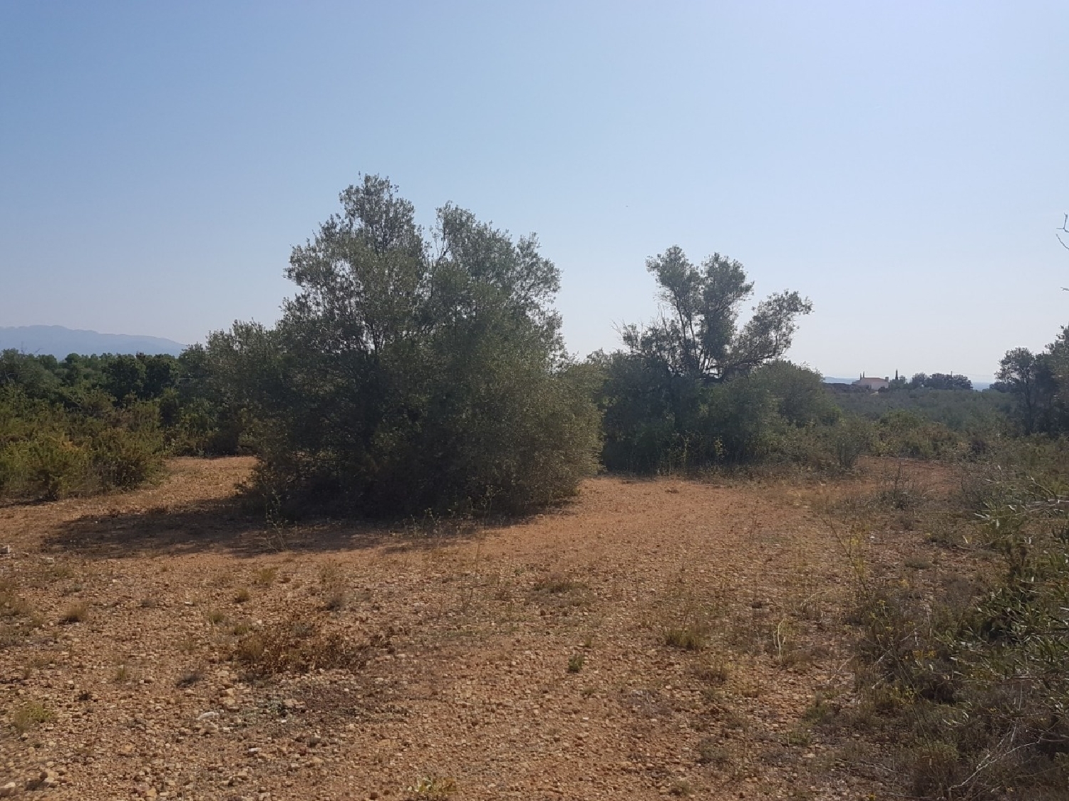 te koop boerderij Panorámica Baix Maestrat 3
