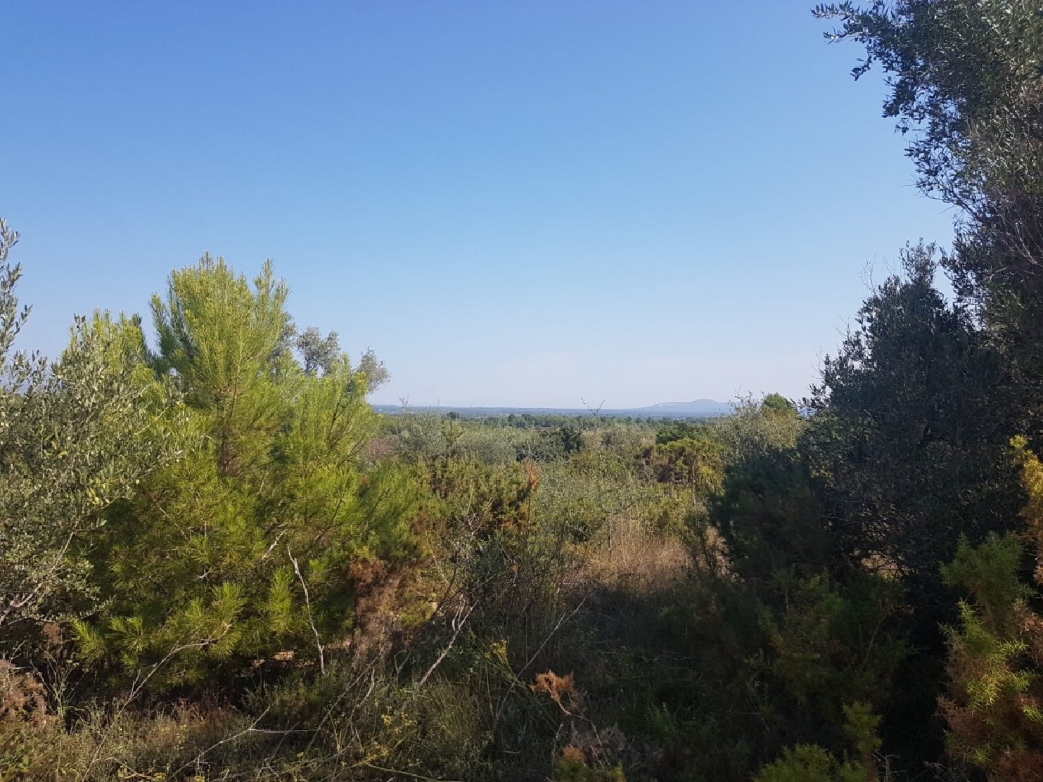  te koop boerderij Panorámica Baix Maestrat 4