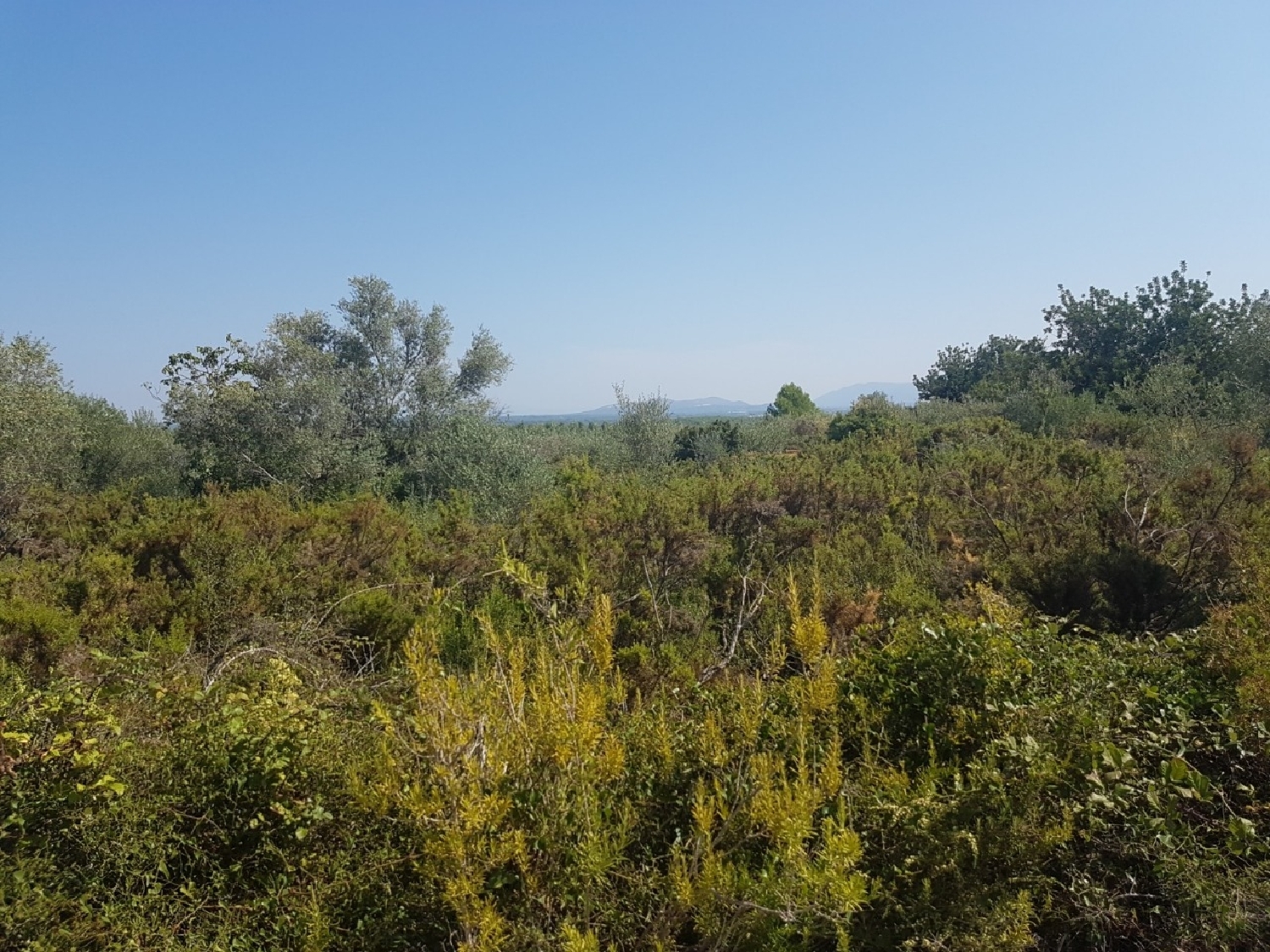  te koop boerderij Panorámica Baix Maestrat 6