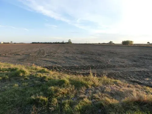 Sant Carles De La Ràpita Montsià hus på landet foto 6186661