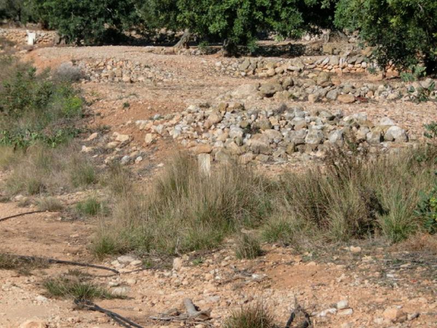 till salu hus på landet Sant Carles De La Ràpita Montsià 2