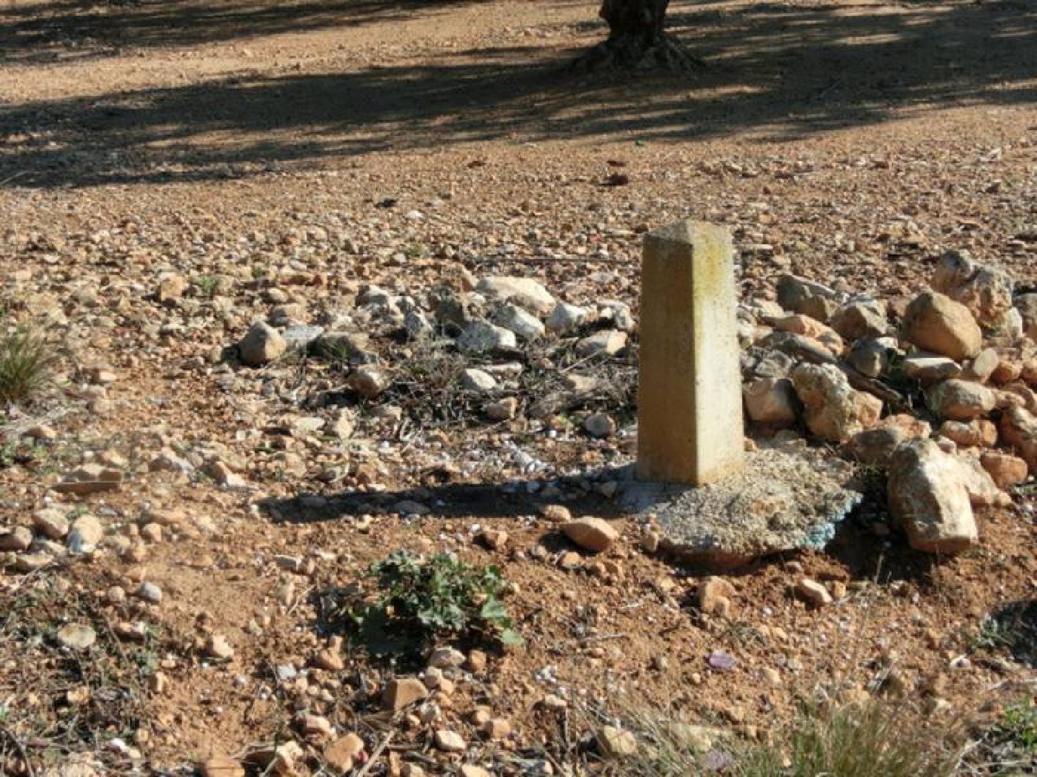  till salu hus på landet Sant Carles De La Ràpita Montsià 7