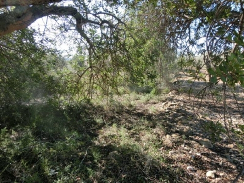 Sant Carles De La Ràpita Montsià hus på landet foto 6224709