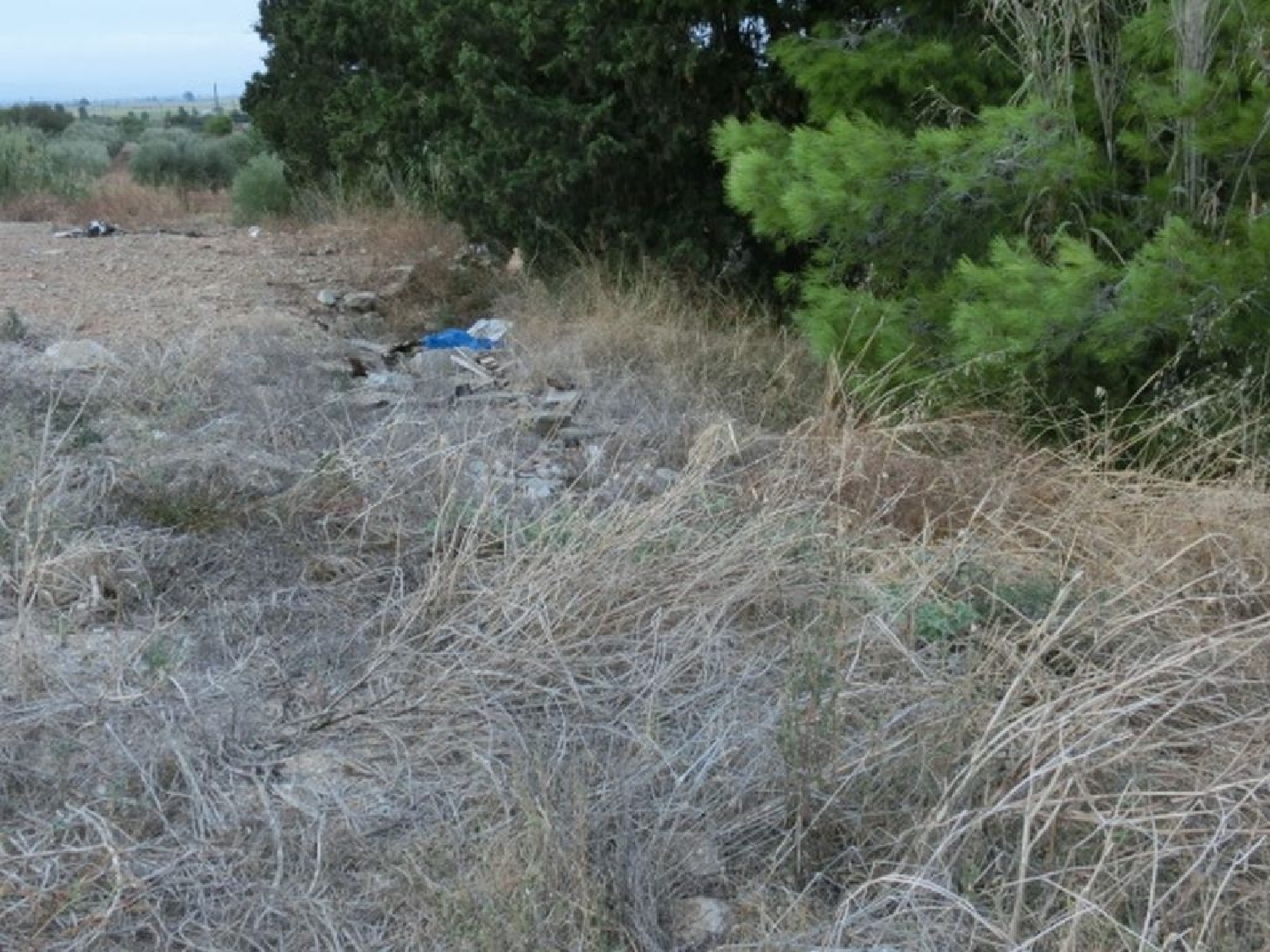  till salu hus på landet Sant Carles De La Ràpita Montsià 4
