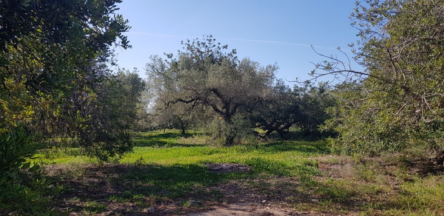 till salu hus på landet Sant Carles De La Ràpita Montsià 3