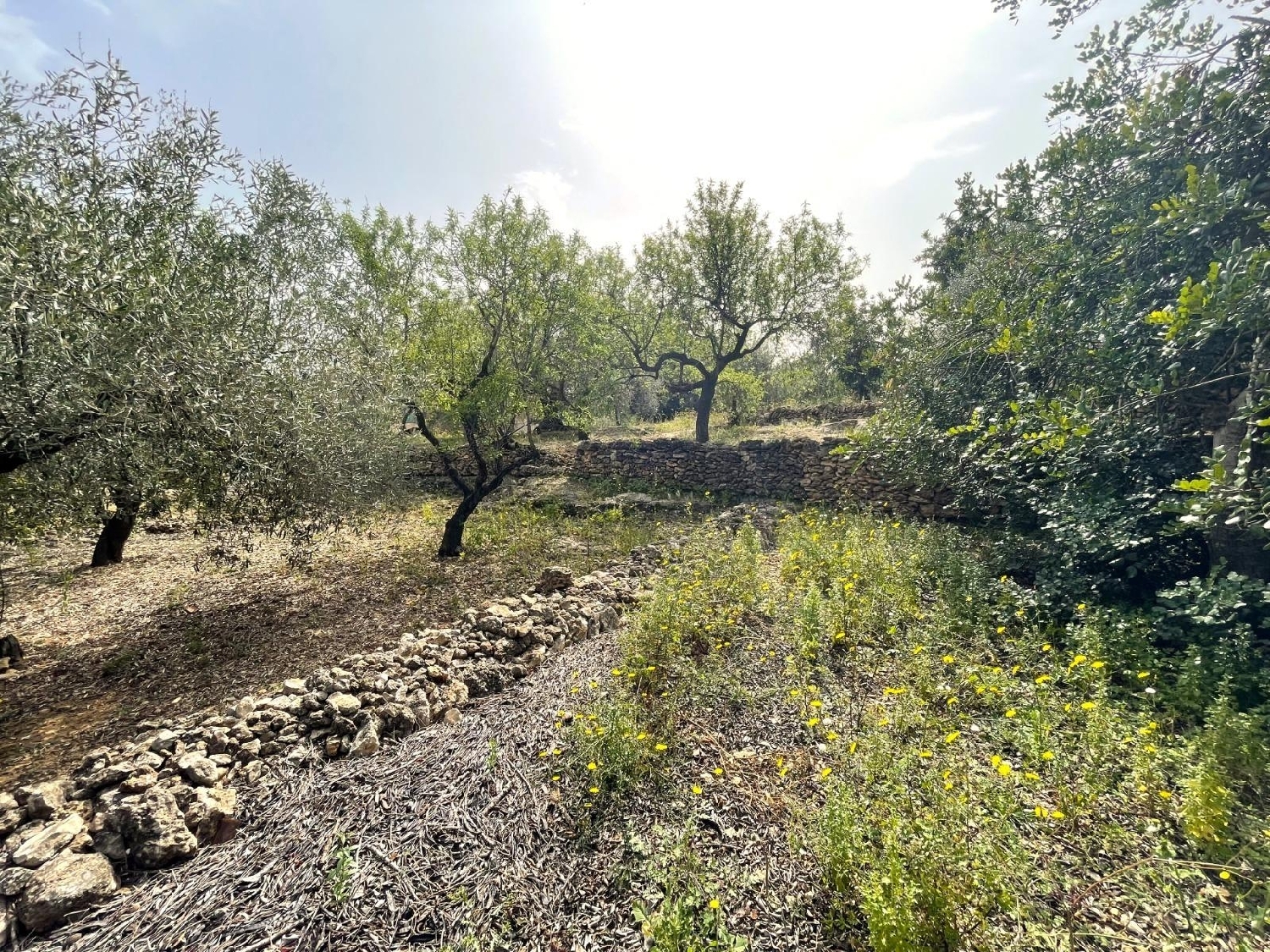  till salu tomt Sant Carles De La Ràpita Montsià 6