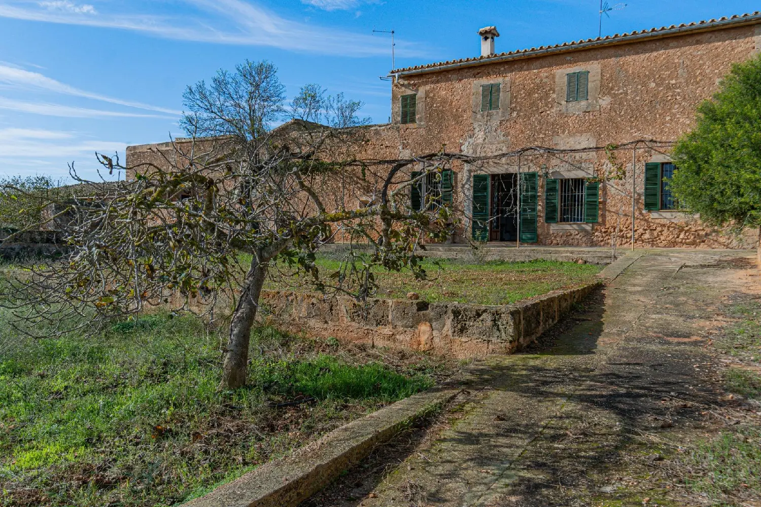  en venta finca rústica Son Gual Palma 2