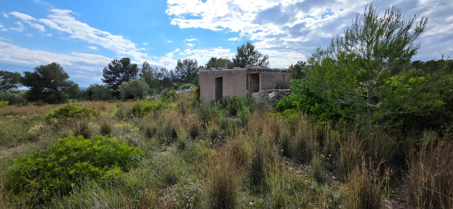  till salu hus på landet Marina Sant Jordi Baix Ebre 4