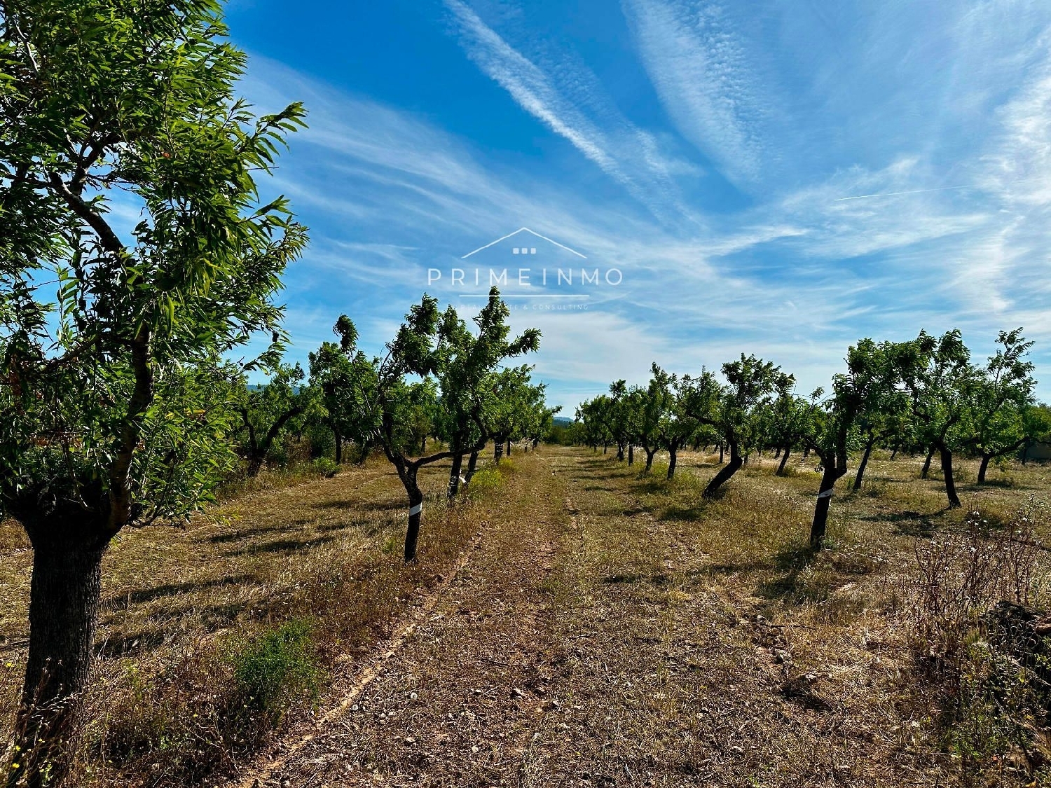  till salu hus på landet Marina Sant Jordi Baix Ebre 9