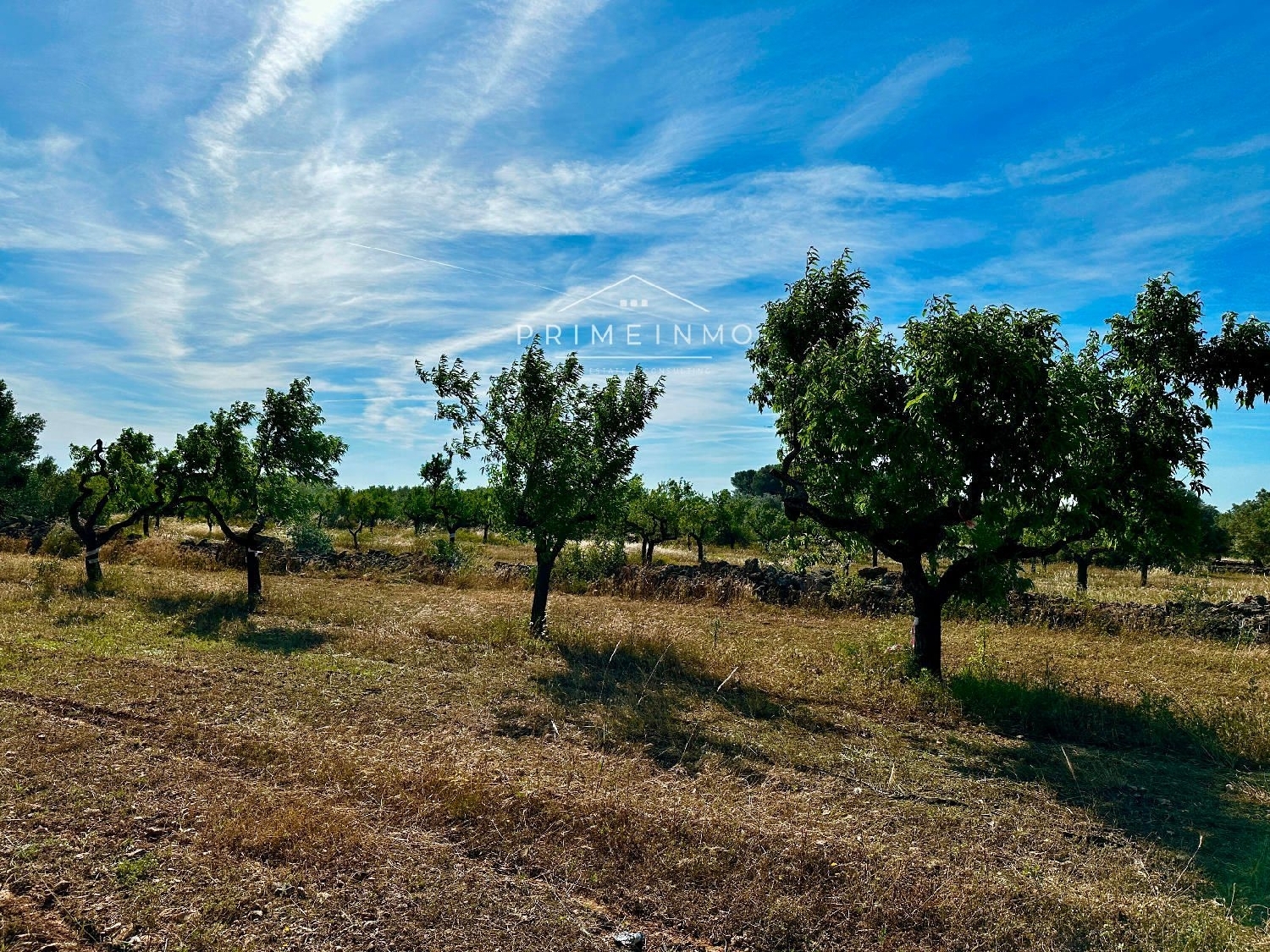  till salu hus på landet Marina Sant Jordi Baix Ebre 6