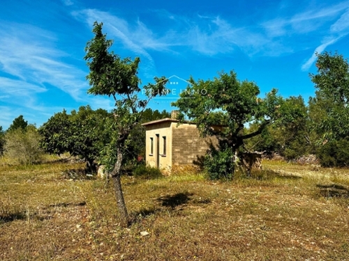 Marina Sant Jordi Baix Ebre hus på landet foto 6229275