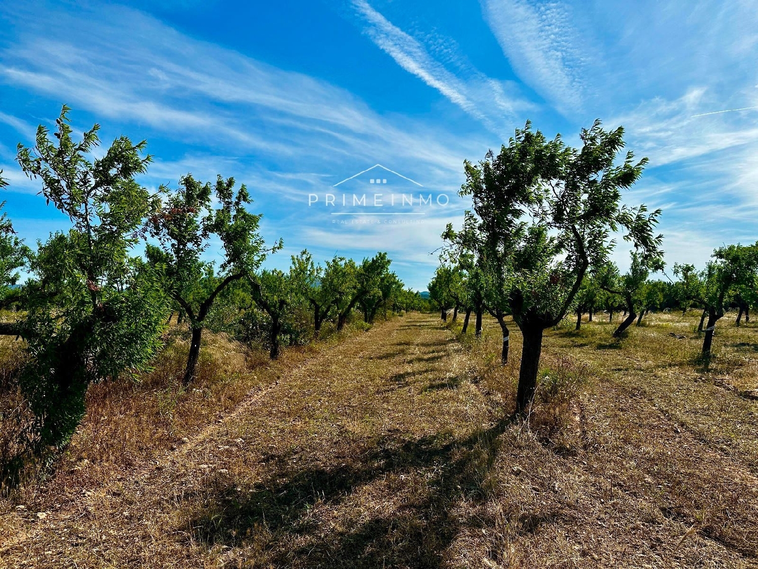  till salu hus på landet Marina Sant Jordi Baix Ebre 8