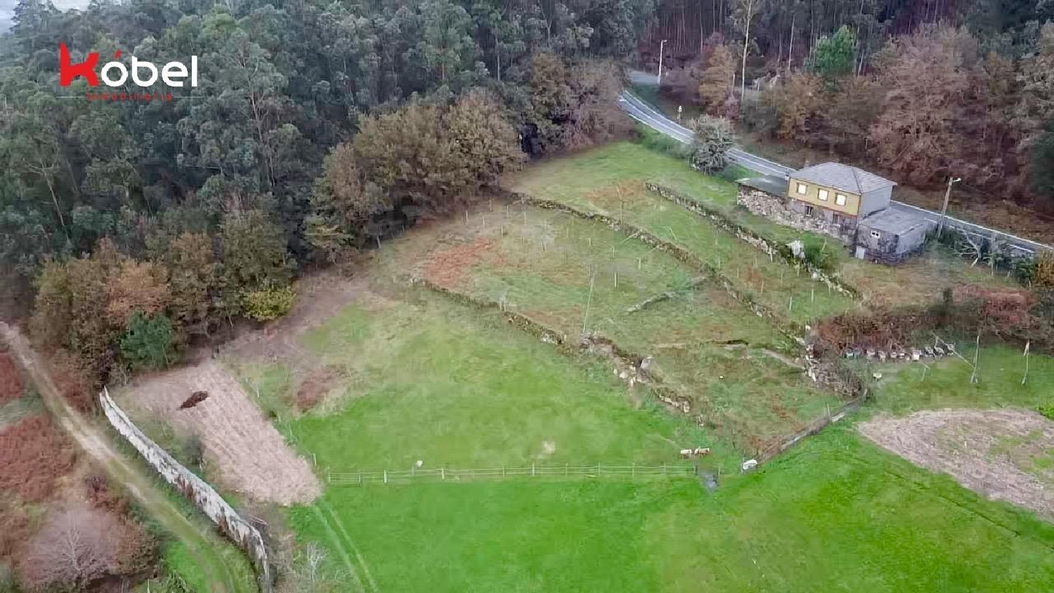  till salu hus på landet Santa Baia Tabeirós-Terra De Montes 4